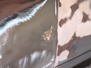 1955 Ford Fairlane 1955 Ford Fairlane